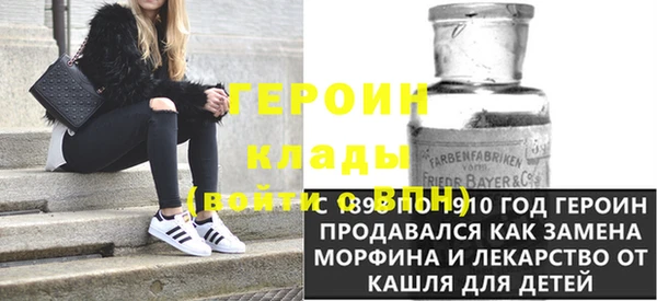 гашик Алексин