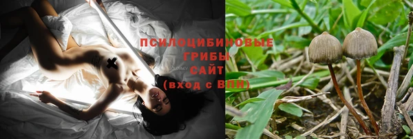 гашик Алексин