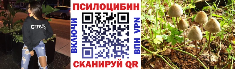 Галлюциногенные грибы MAGIC MUSHROOMS  хочу   Малоархангельск 